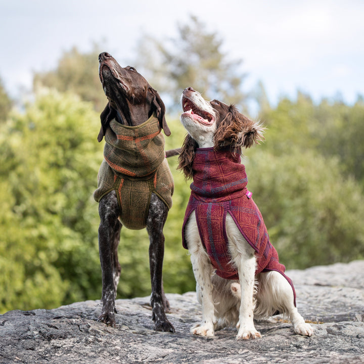 Wollmantel Woolie – Wendbarer Premium-Hundemantel Oliv