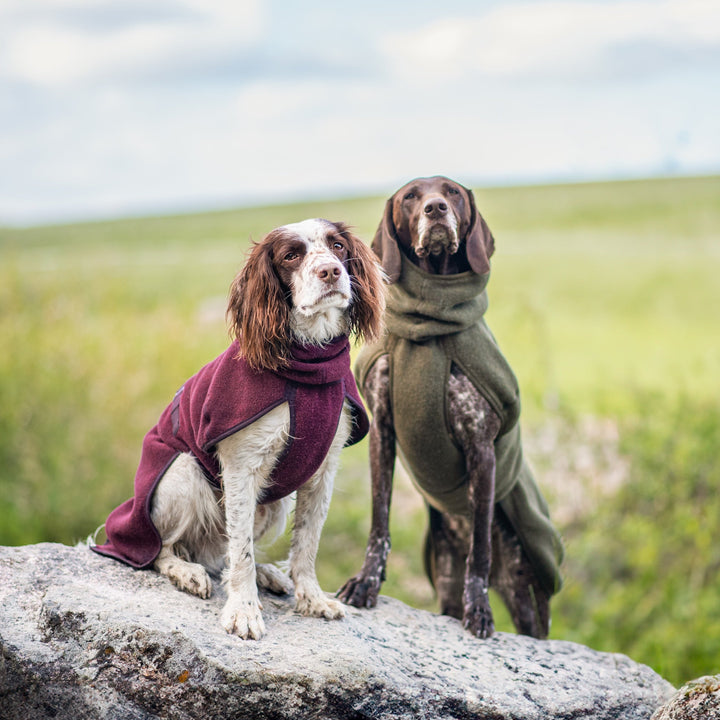 Wollmantel Woolie – Wendbarer Premium-Hundemantel Oliv