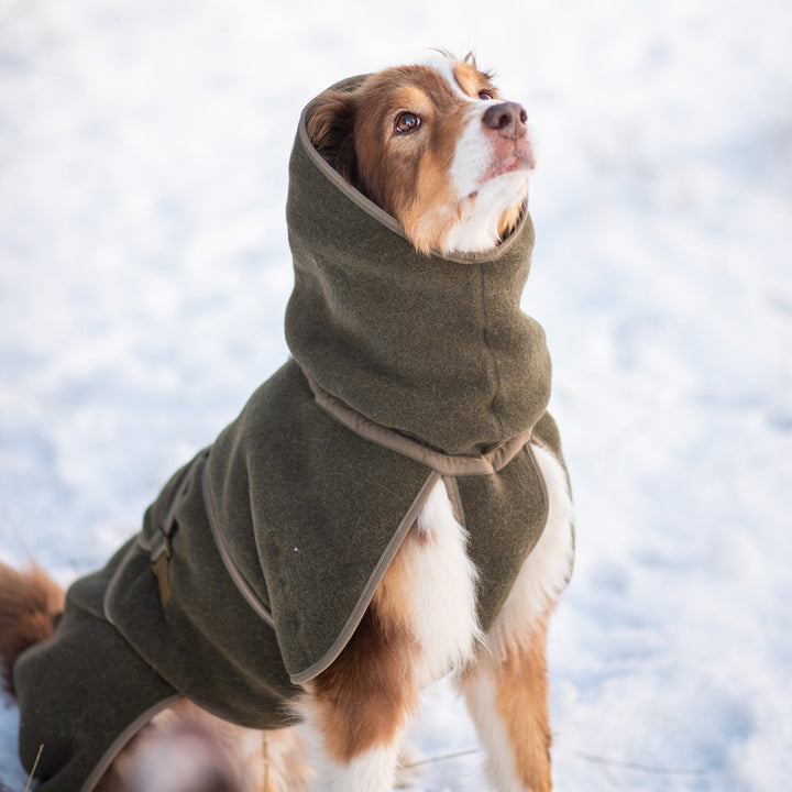 Wollmantel Woolie – Wendbarer Premium-Hundemantel Oliv