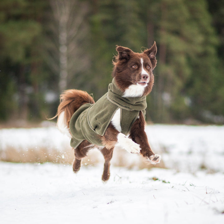 Wollmantel Woolie – Wendbarer Premium-Hundemantel Oliv