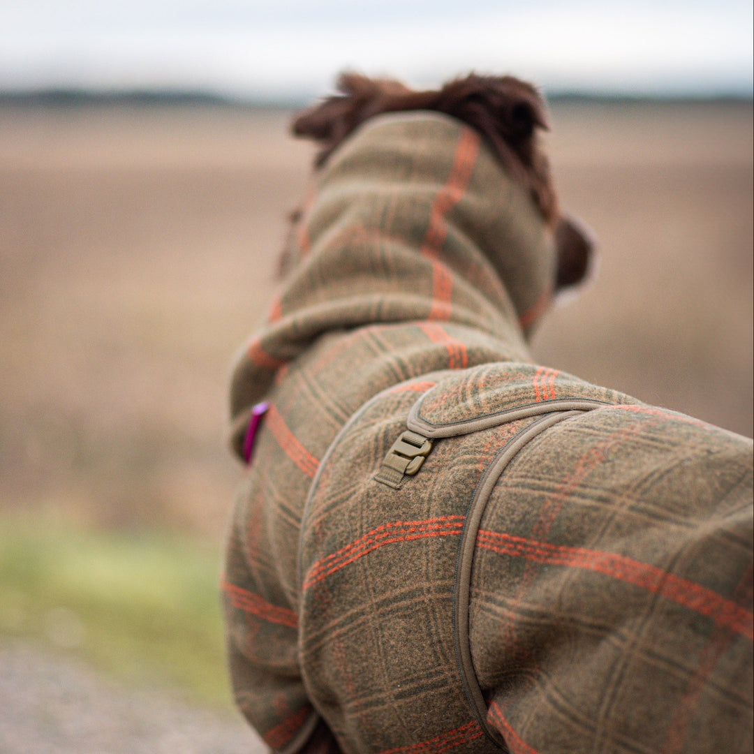 Wollmantel Woolie – Wendbarer Premium-Hundemantel Oliv
