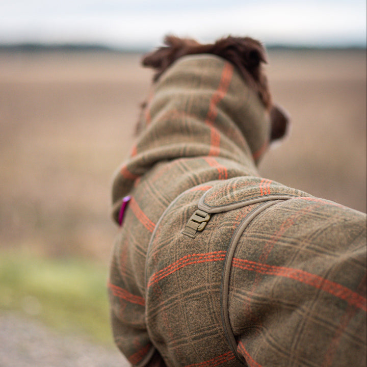 Wollmantel Woolie – Wendbarer Premium-Hundemantel Oliv