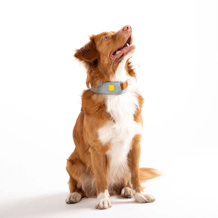 Hundehalsband Glacier Green