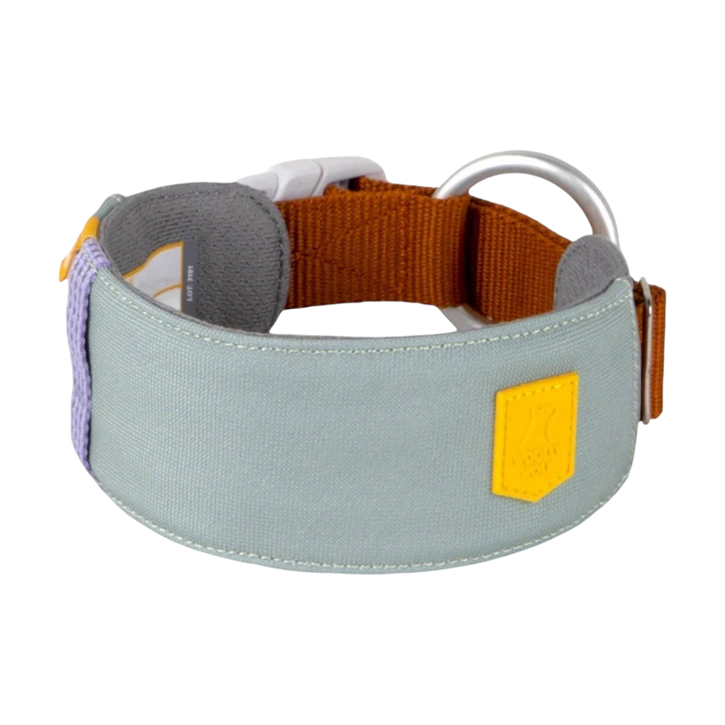 Hundehalsband Glacier Green