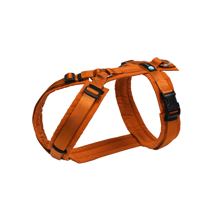Hundegeschirr Fun Ahorn