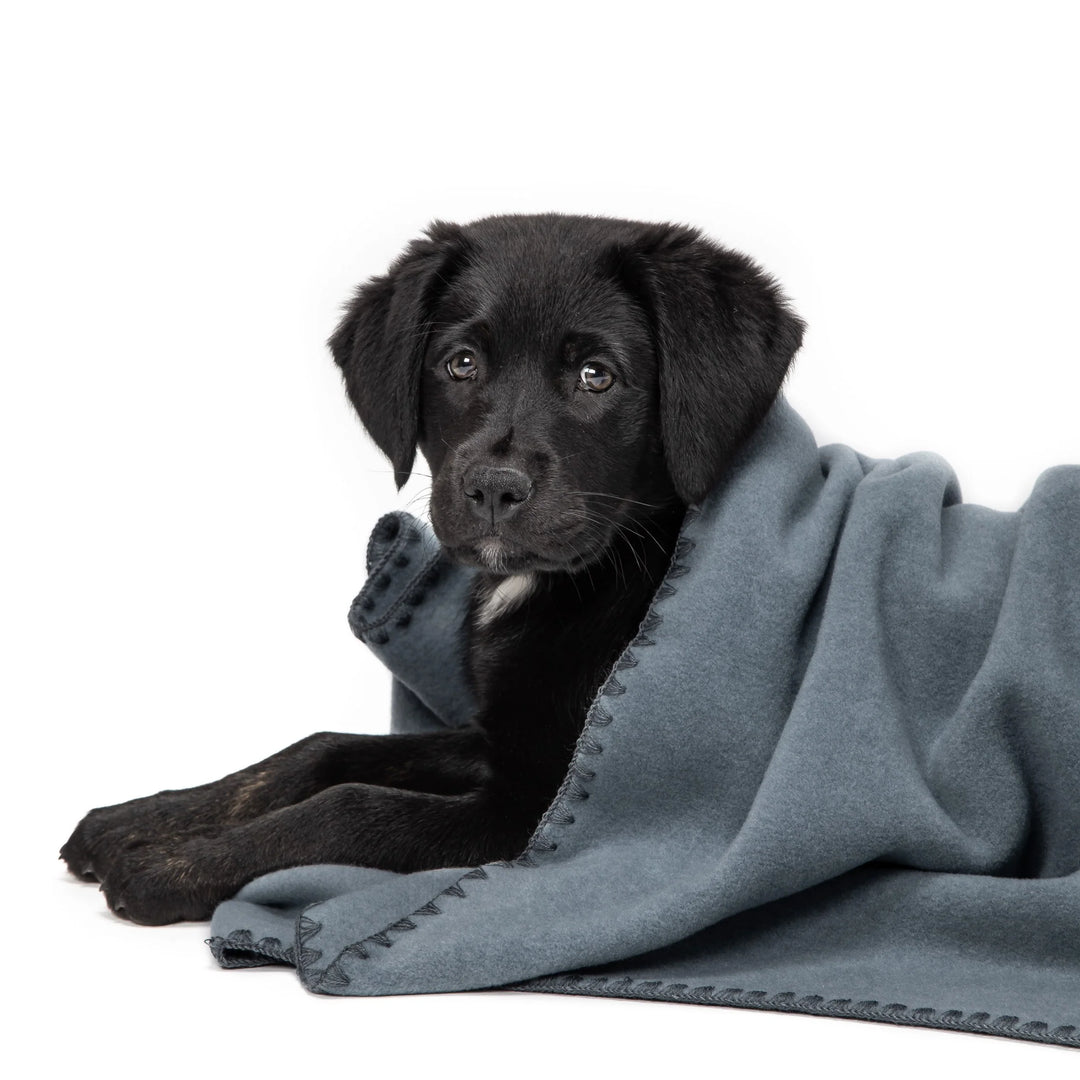 Cloud7 Fleece Hundedecke Dove Blue