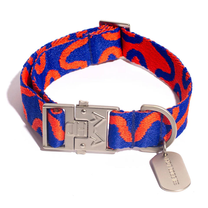 Hundehalsband Rocky Electric
