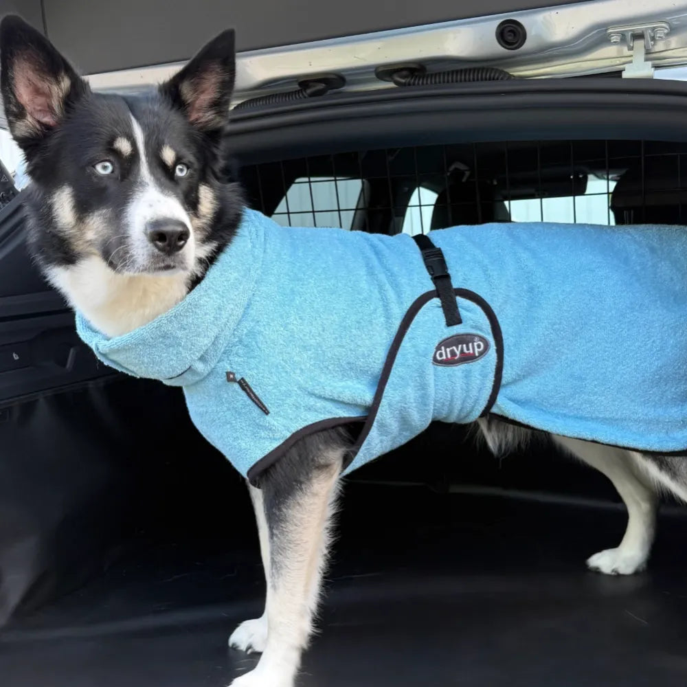 Dog bathrobe rose