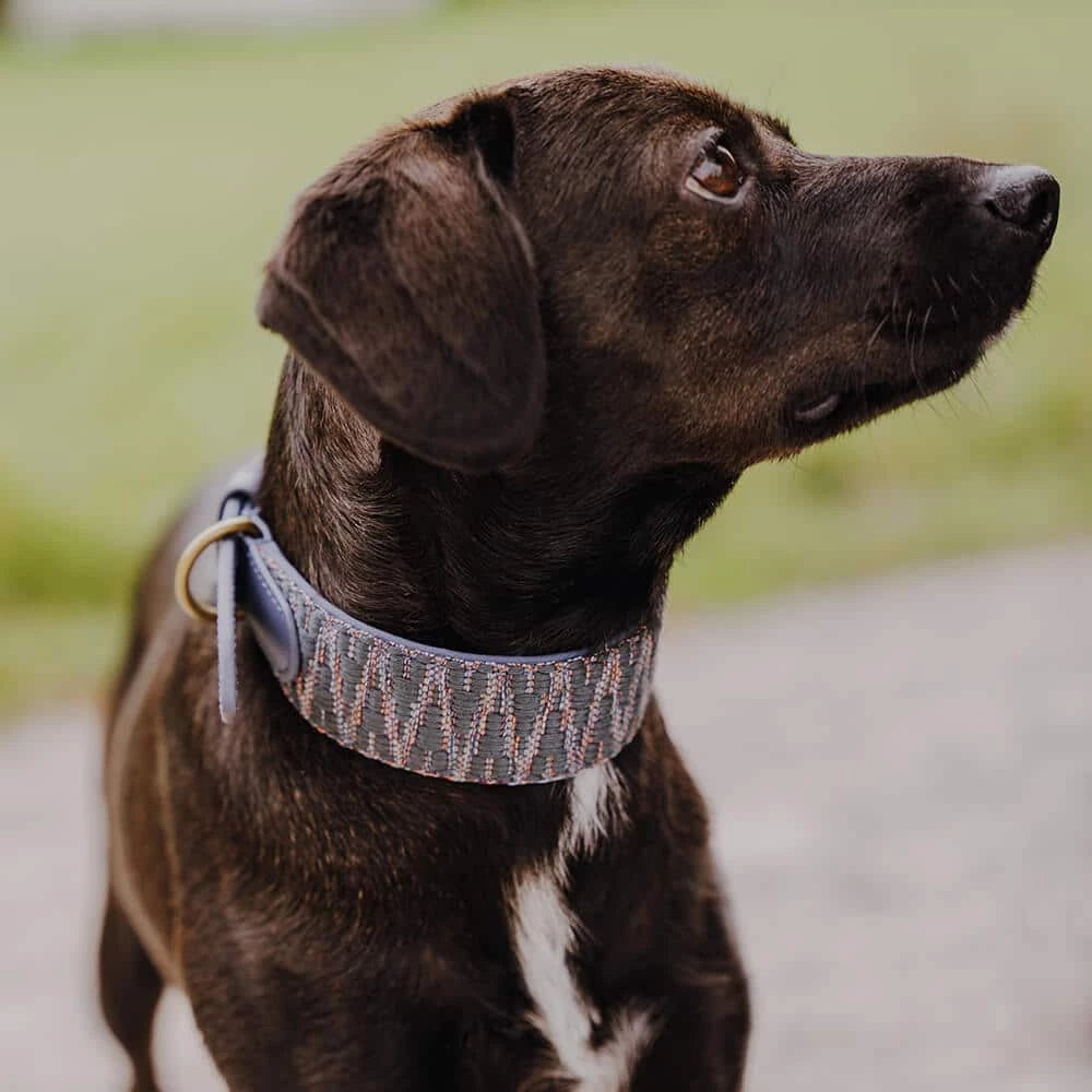 Hundehalsband Blue &amp; Grey