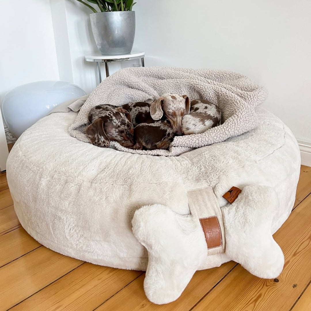 Kopf- und Kuschelkissen für Hunde HYGGEBONE® | Ivory