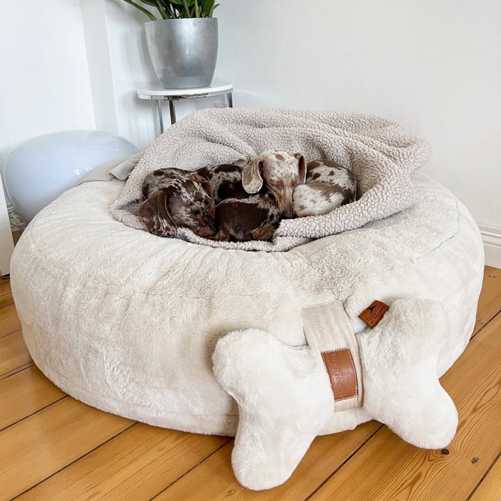 Kopf- und Kuschelkissen für Hunde HYGGEBONE® | Ivory
