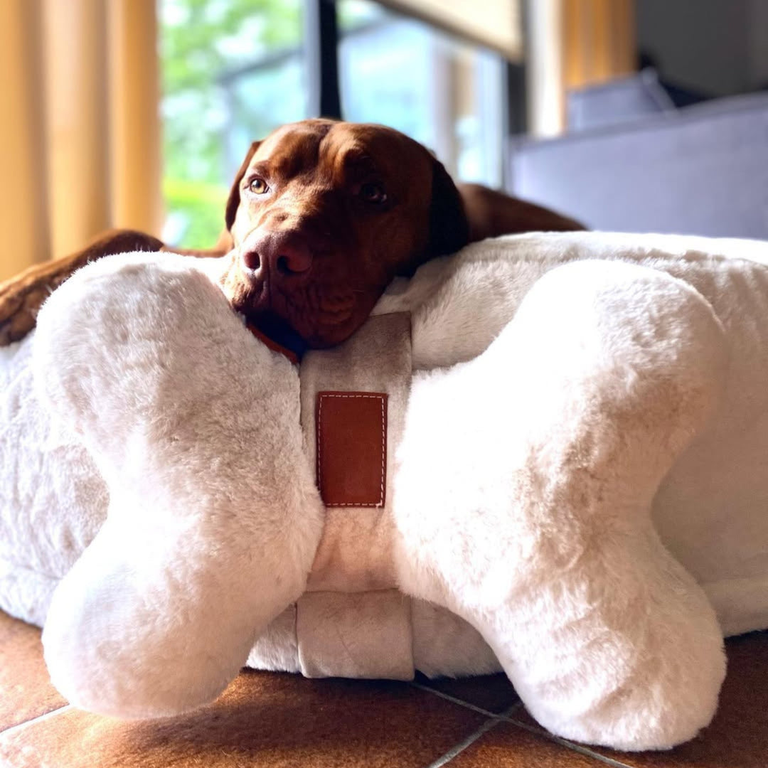 Kopf- und Kuschelkissen für Hunde HYGGEBONE® | Ivory