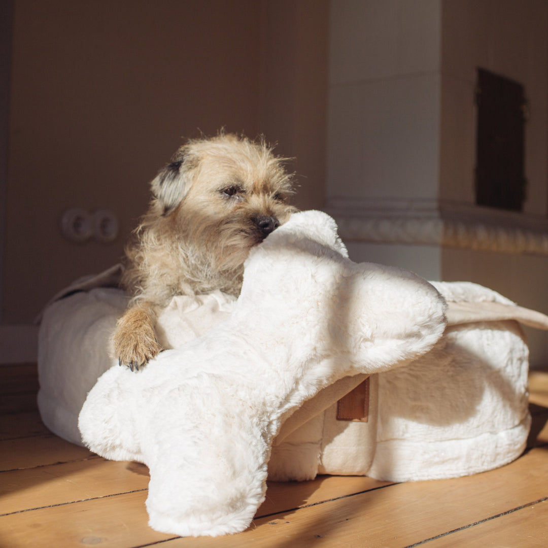 Kopf- und Kuschelkissen für Hunde HYGGEBONE® | Ivory