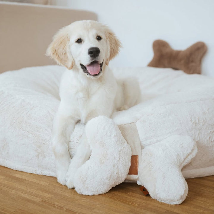 Kopf- und Kuschelkissen für Hunde HYGGEBONE® | Ivory