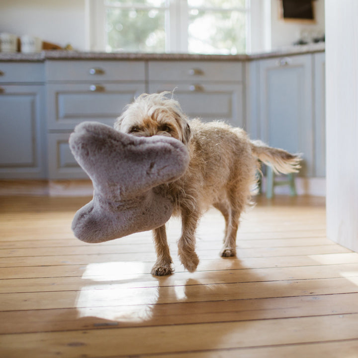 Kopf- und Kuschelkissen für Hunde HYGGEBONE® | Stone