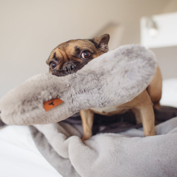 Kopf- und Kuschelkissen für Hunde HYGGEBONE® | Stone