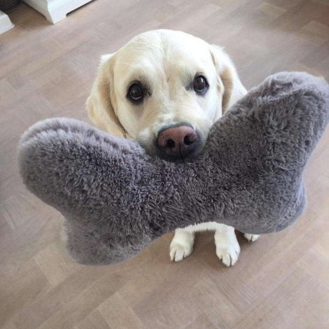 Kopf- und Kuschelkissen für Hunde HYGGEBONE® | Stone