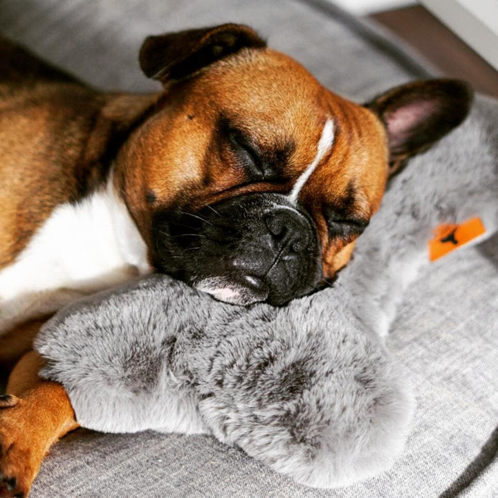 Kopf- und Kuschelkissen für Hunde HYGGEBONE® | Stone