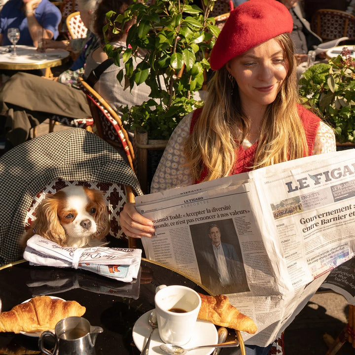 Hundespielzeug „The Daily Bandit“ Hundezeitung