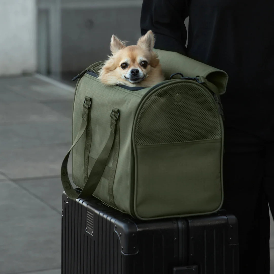 Hundeflugtasche AKTIV Olive