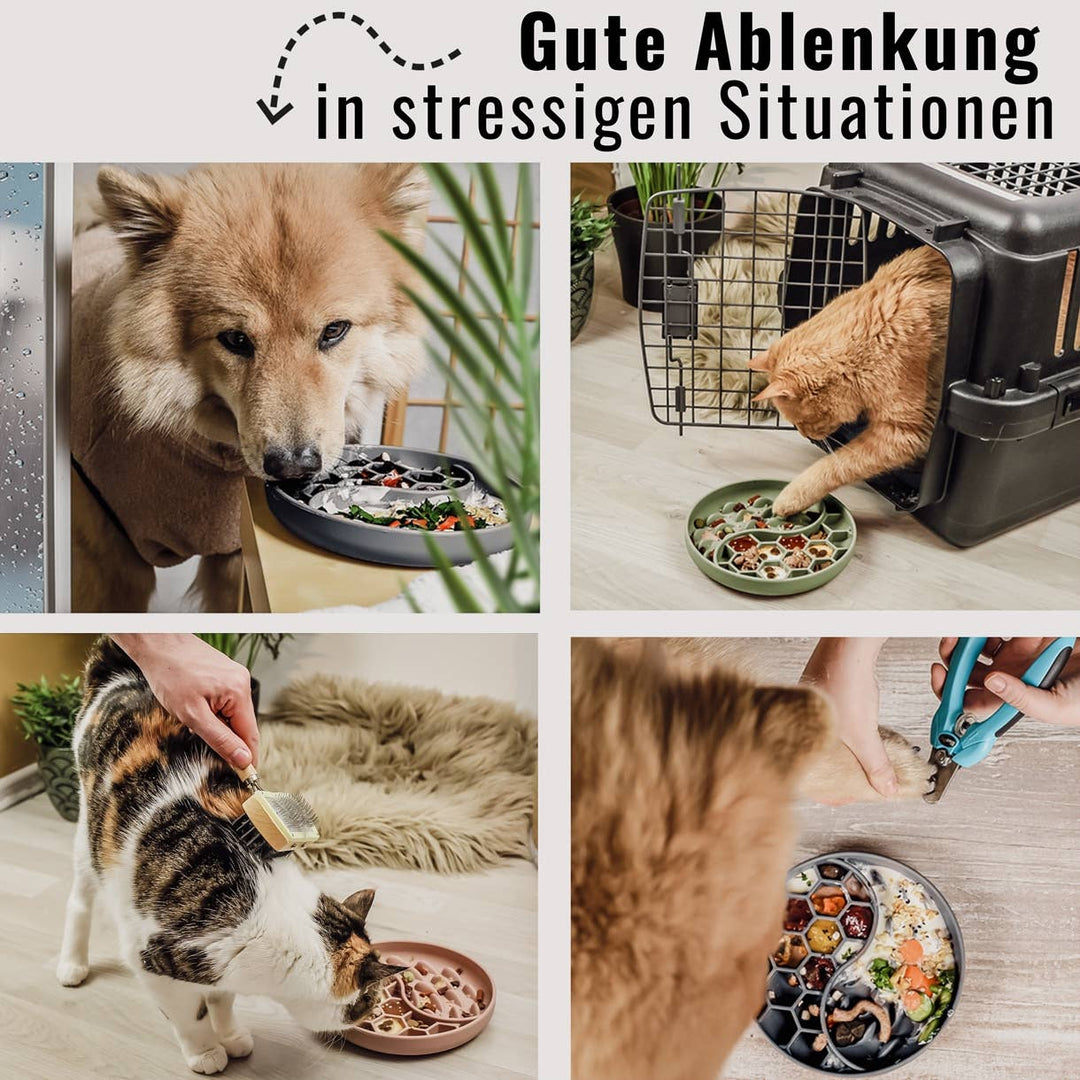 Anti-Schlingnapf - Schleckschale für Hunde &amp; Katzen Rosa