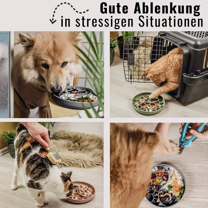Anti-Schlingnapf - Schleckschale für Hunde &amp; Katzen Rosa