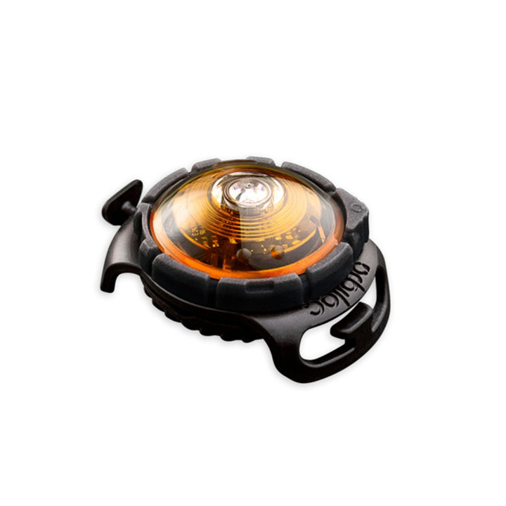 Veiligheidslamp - De veiligheidslamp voor honden en baasjes