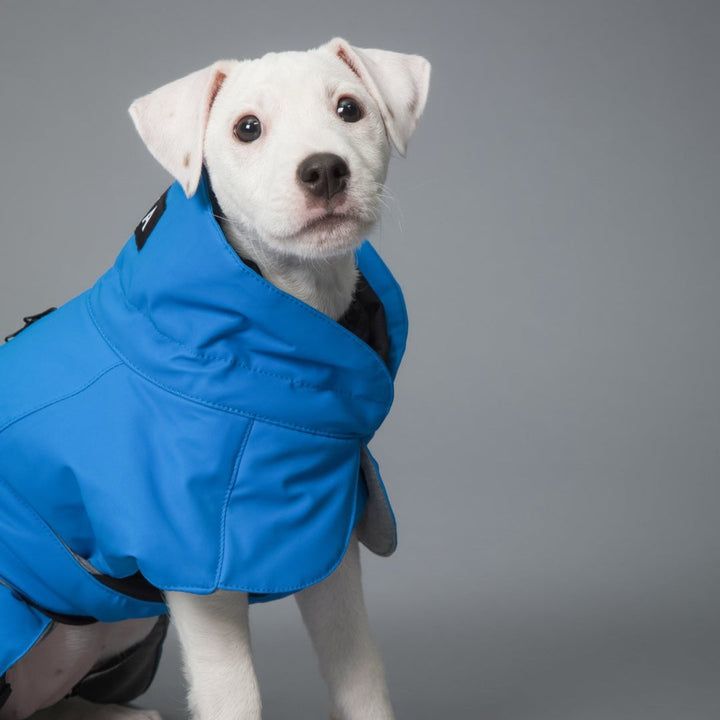 Hochreflektierende Hundewinterjacke Indigo