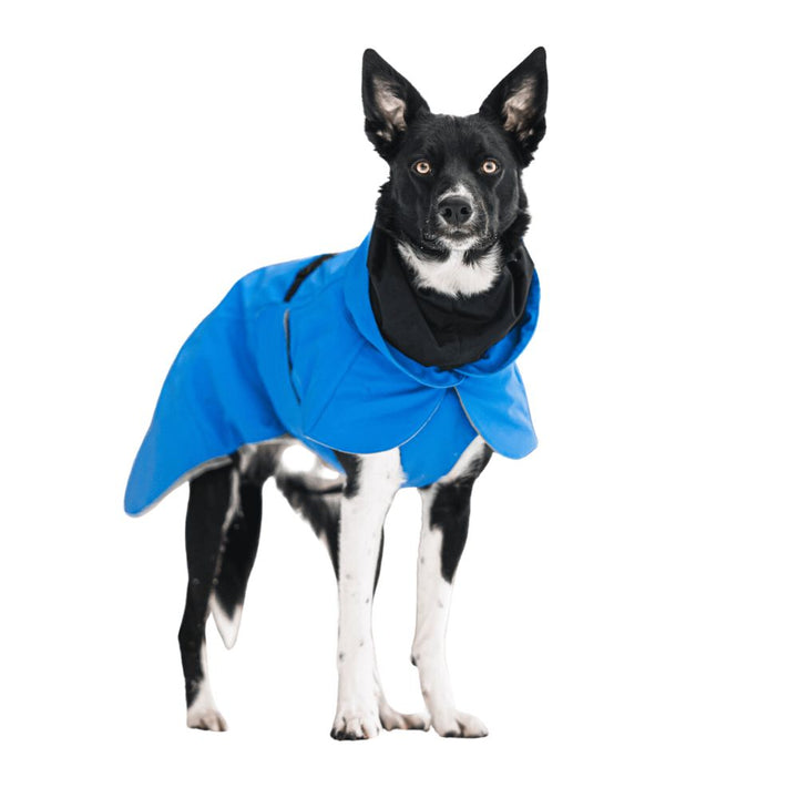 Hochreflektierende Hundewinterjacke Indigo