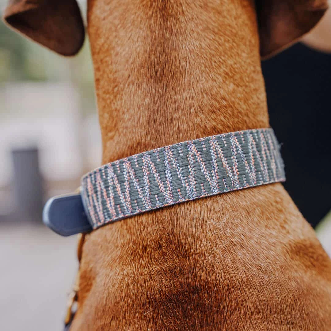 Hundehalsband Blue &amp; Grey