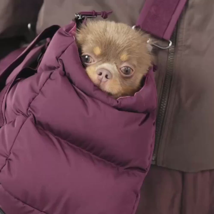 Dog Bag Montreal 2.0 Dark Aubergine S