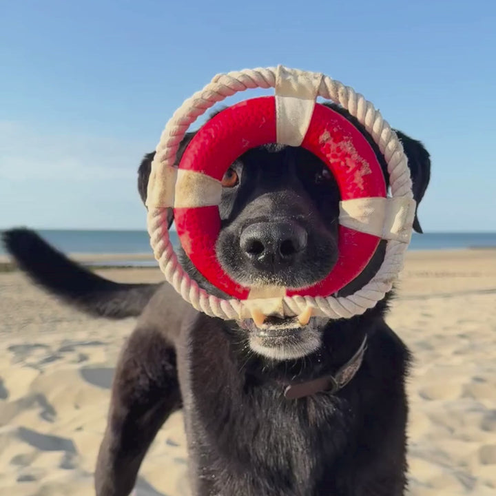 Hundespielzeug Rettungsring Floaty