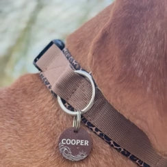 Hundehalsband &amp; Leine Leo Love Marrakesh