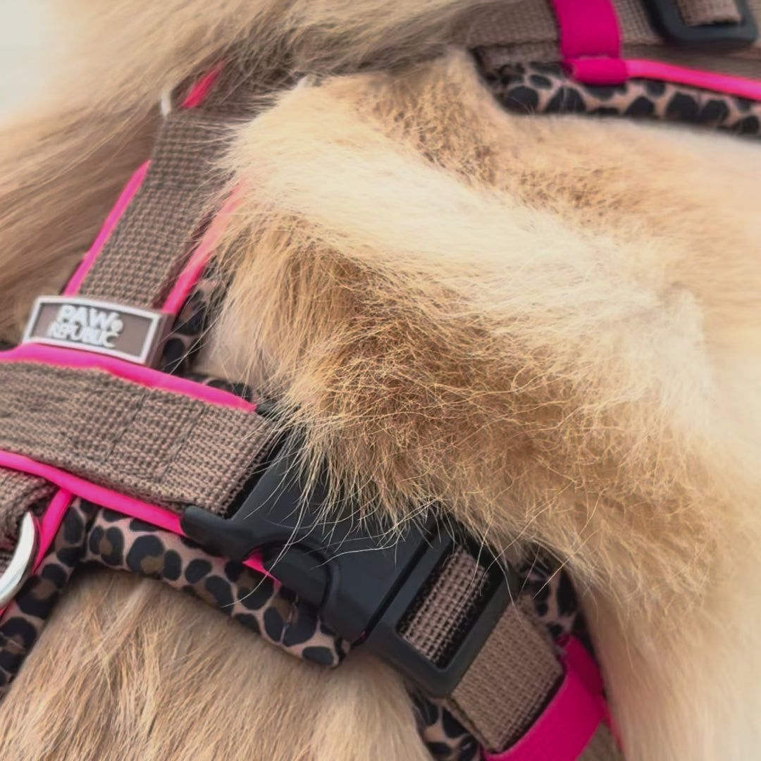 Hundegeschirr Marrakesh