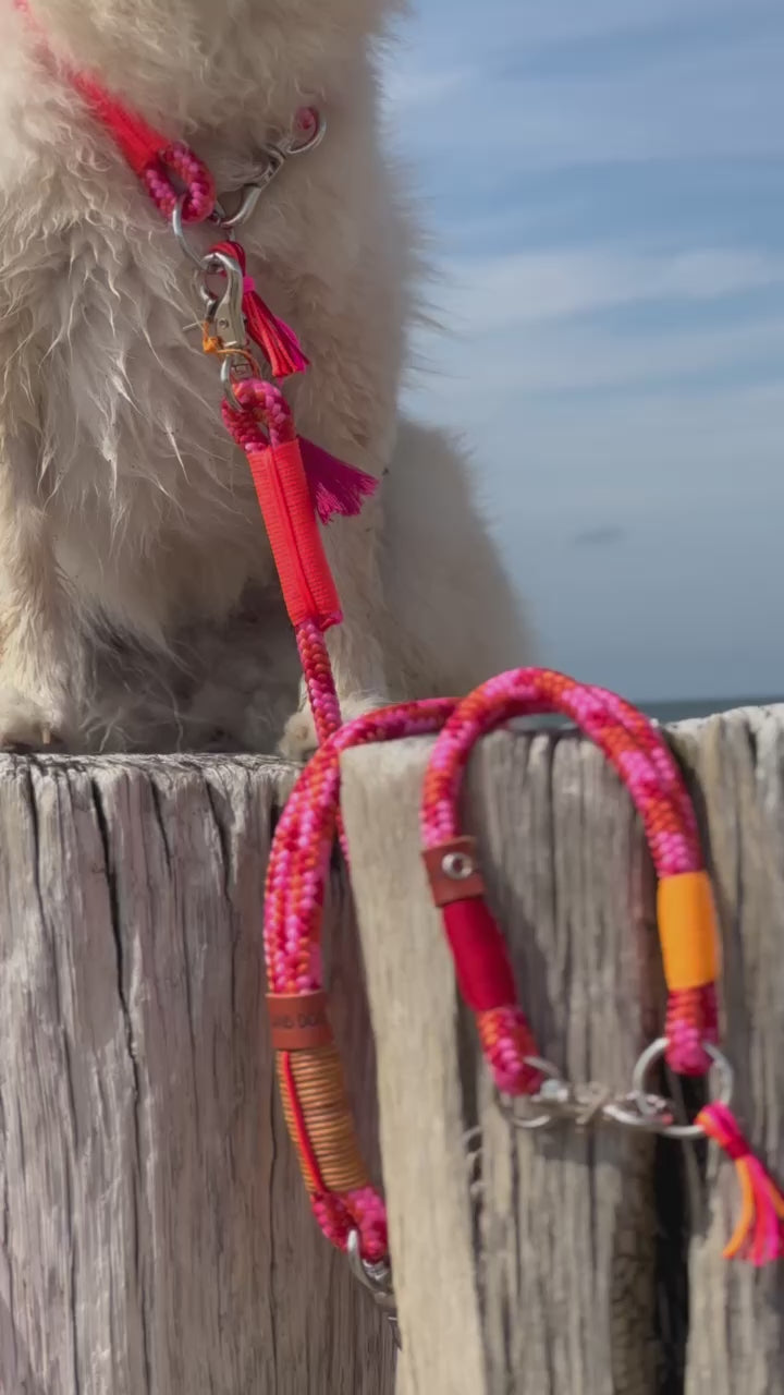 Zeeland Dog Camouflage Aloha