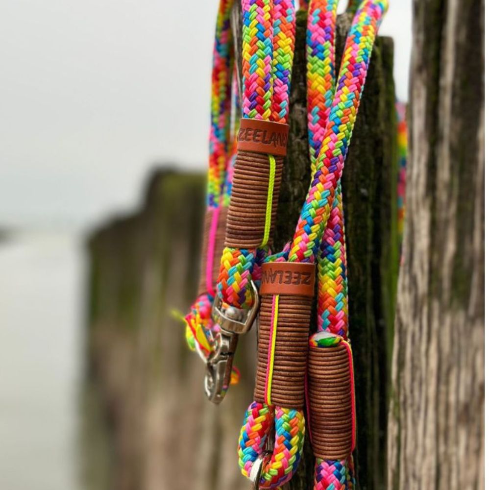 Zeeland Dog Beach Rainbow Jetzt erhältlich bei  Dogsmopolitan