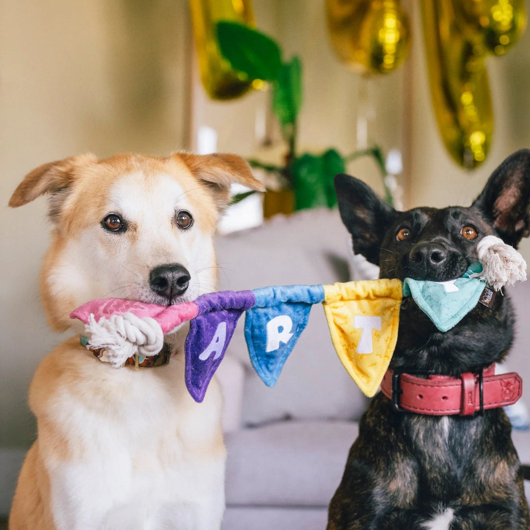 Hundespielzeug Wimpelkette PARTY