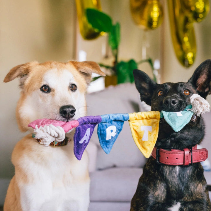 Hundespielzeug Wimpelkette PARTY