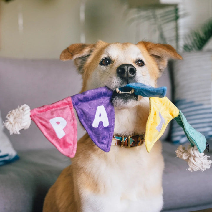 Hundespielzeug Wimpelkette PARTY