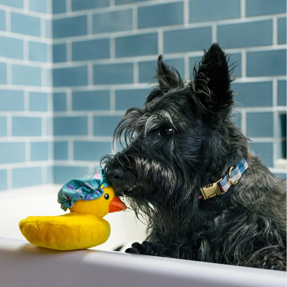 Hundespielzeug Badeente Bubbles