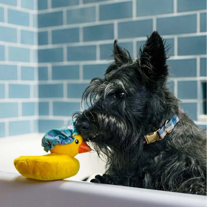 Hundespielzeug Badeente Bubbles