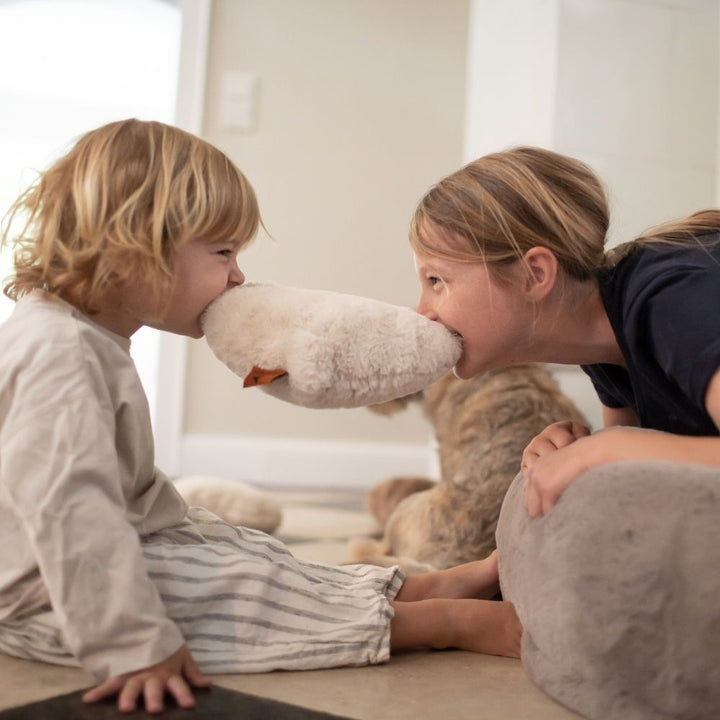 Kinder spielen mit Hyggebone