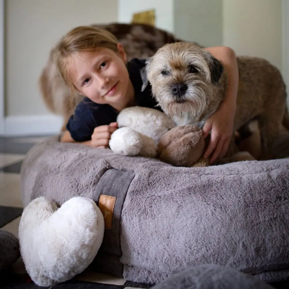 Hyggeheart Kopf- Und Kuschelkissen Taupe Jetzt erhältlich bei  Dogsmopolitan