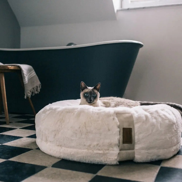 HYGGEBED 4 Cats Ivory S Jetzt erhältlich bei  Dogsmopolitan