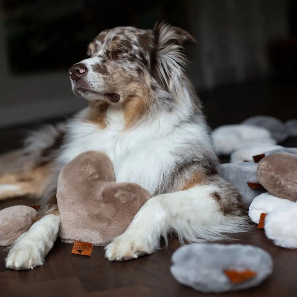 Hyggeheart Kopf- Und Kuschelkissen maroon Jetzt erhältlich bei  Dogsmopolitan