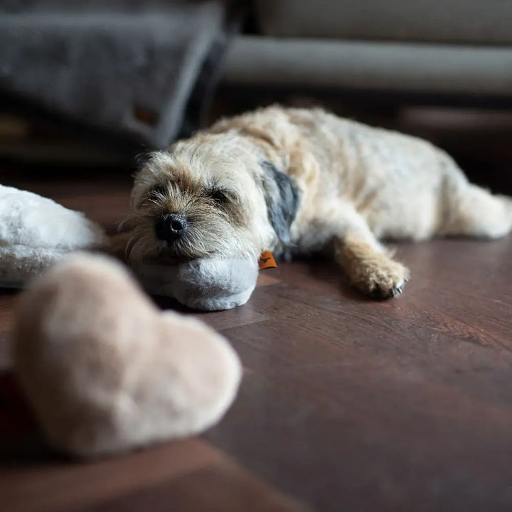 Hyggeheart Kopf- Und Kuschelkissen maroon Jetzt erhältlich bei  Dogsmopolitan