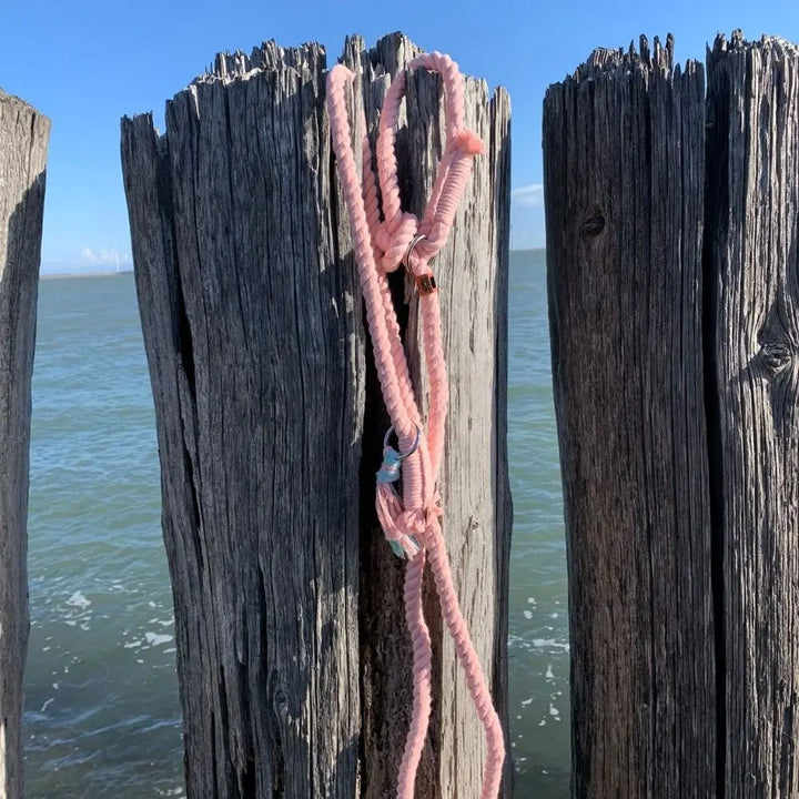 ZEELAND DOG COTTON SEA Jetzt erhältlich bei  Dogsmopolitan