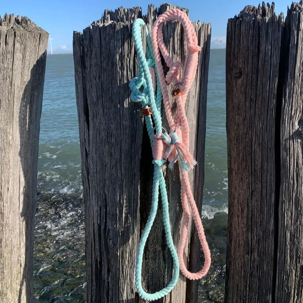 ZEELAND DOG COTTON SEA Jetzt erhältlich bei  Dogsmopolitan