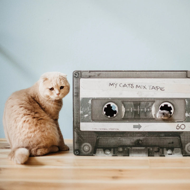 Kratzmöbel Cats Mixtape Jetzt erhältlich bei  Dogsmopolitan