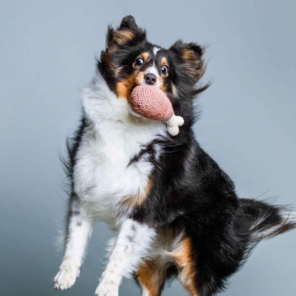 Chicken Leg Jetzt erhältlich bei  Dogsmopolitan